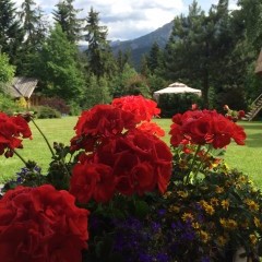 SOSNA villa mountains Tatry Zakopane Koscielisko accommodation rest in Poland