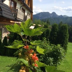 SOSNA villa mountains Tatry Zakopane Koscielisko accommodation rest in Poland