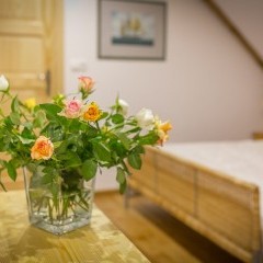 SOSNA villa mountains Tatry Zakopane Koscielisko accommodation rest in Poland